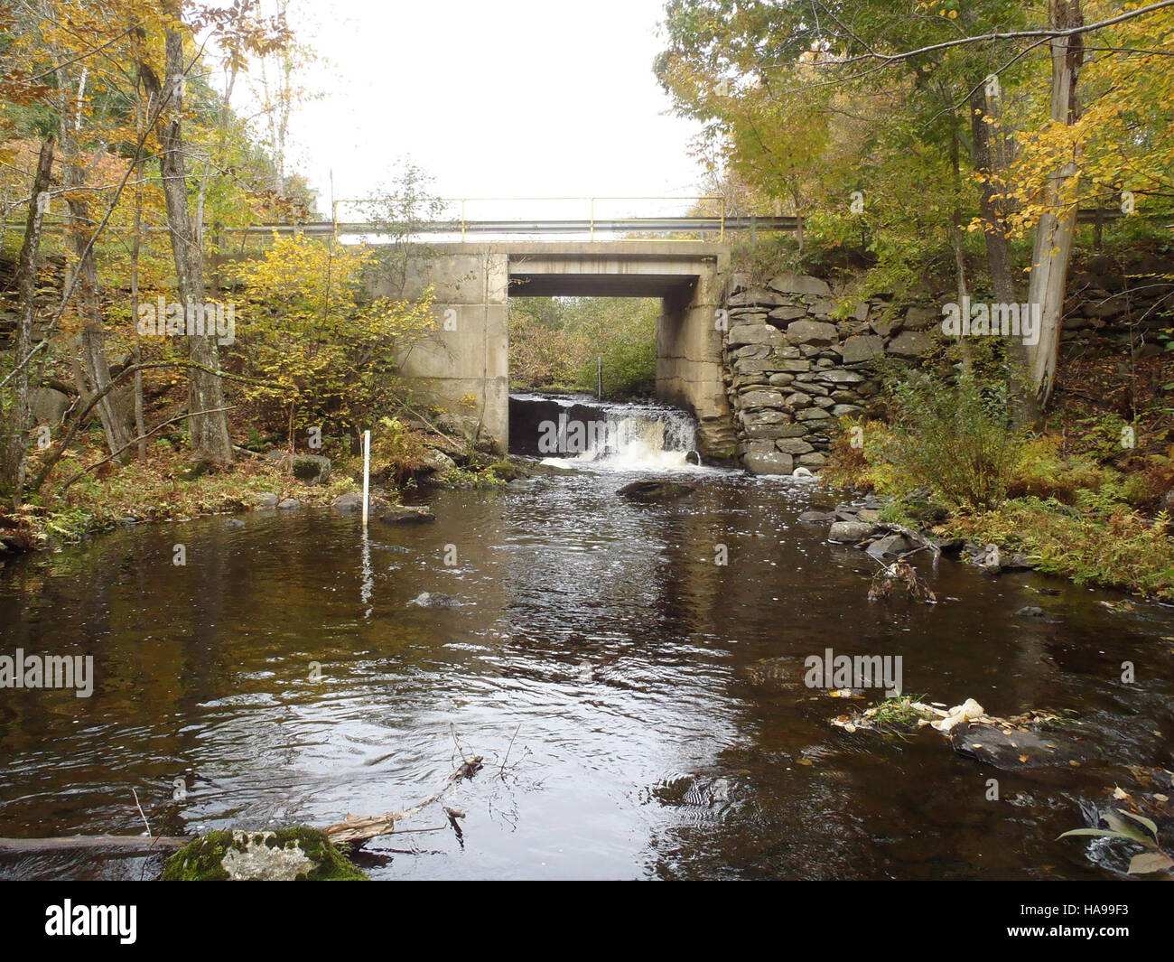 usfwsnortheast 15758298608 Etna Pond Outlet, Maine Stock Photo Alamy