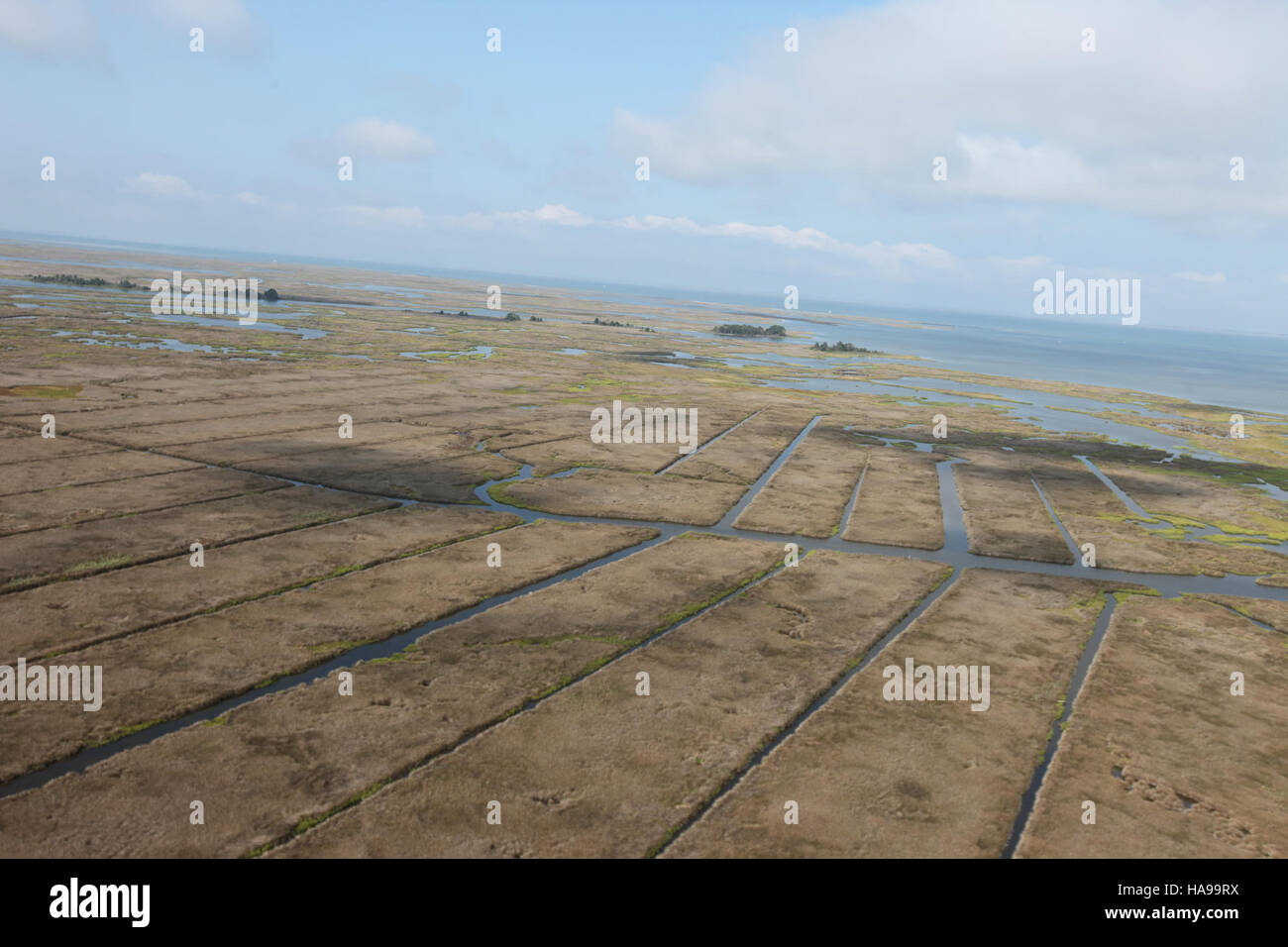 usfwsnortheast 16664291262 Day 4 - Hurricane Sandy Aerial Tour Stock Photo