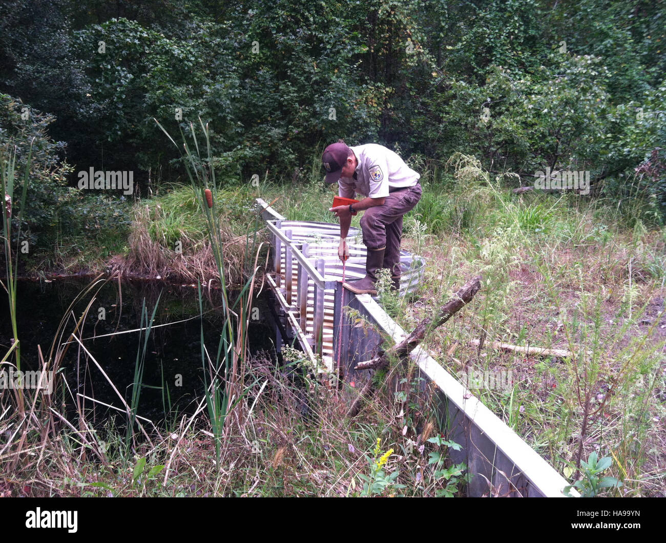 usfwsnortheast 18960483000 Fred Wurster, Hydrologist, manipulates a water control structure Stock Photo