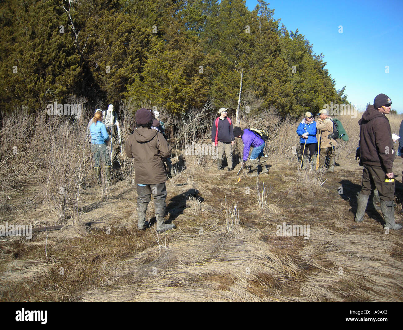 The U.S. Fish and Wildlife Service is monitoring sea level rise in ...