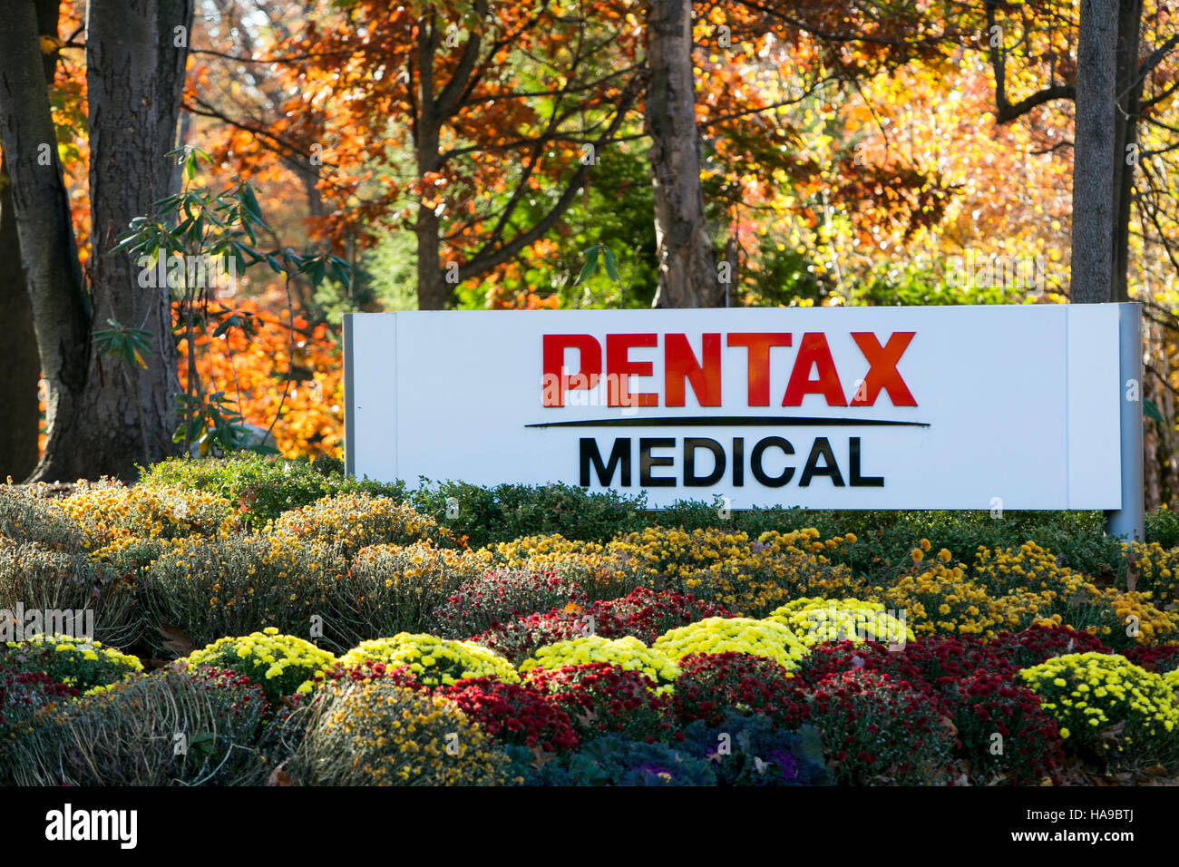 A logo sign outside of a facility occupied by PENTAX Medical in Montvale, New Jersey on November 5, 2016. Stock Photo