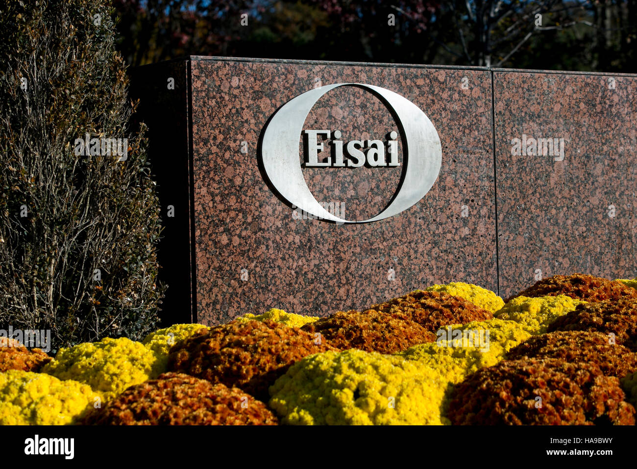 A logo sign outside of a facility occupied by Eisai Pharmaceuticals in