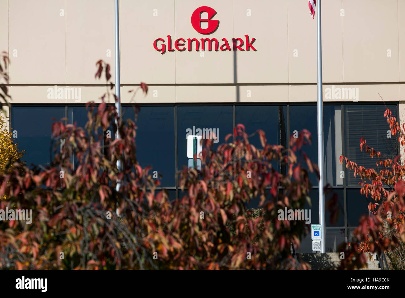 Glenmark Life Sciences IPO: Information analysis | Value Research