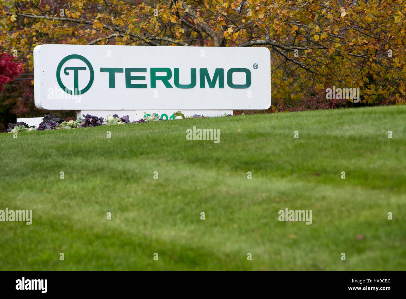 A logo sign outside of a facility occupied by the Terumo Corporation in