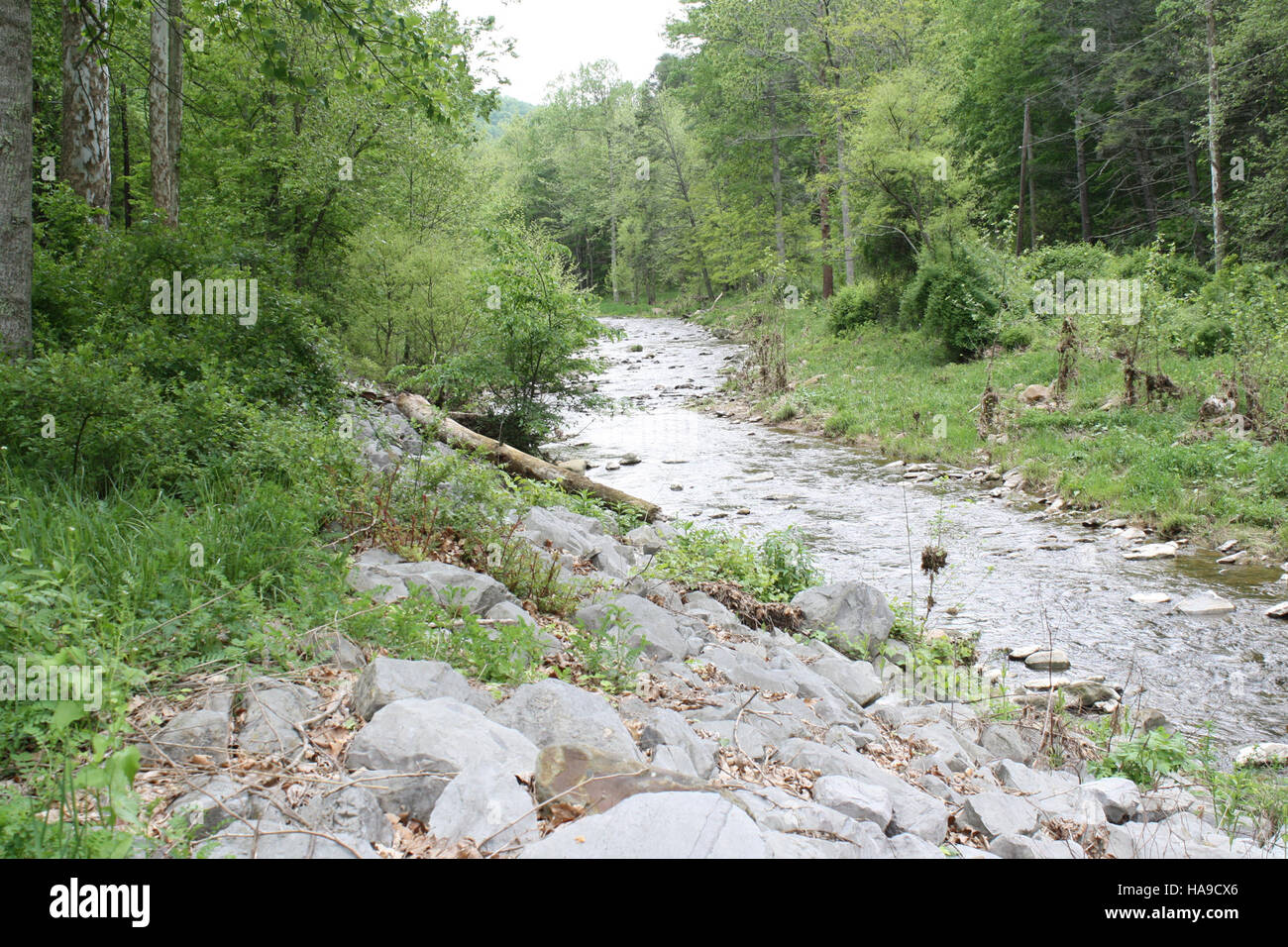 The U S Fish And Wildlife Service Northeast Region Reports Successful