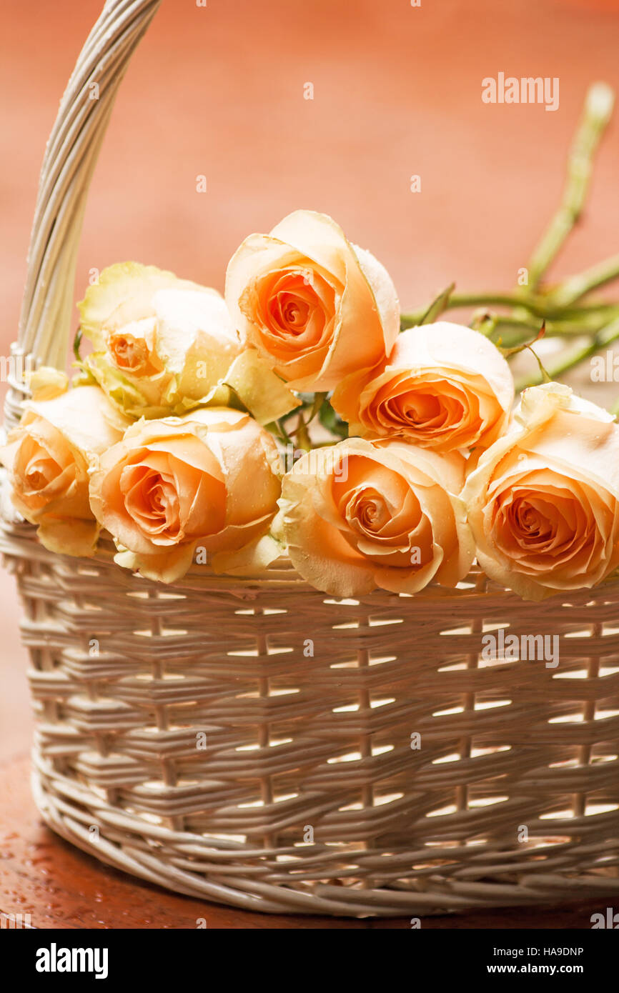 Basket with white hybrid tea roses Stock Photo