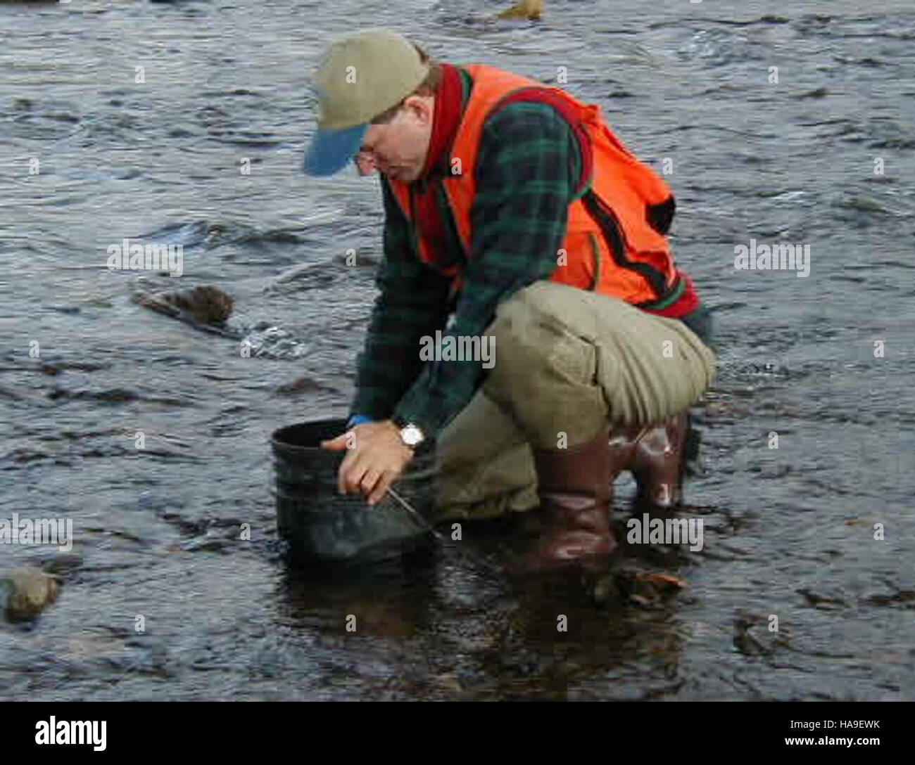 usfwsnortheast 8002921373 USFWS biologist collecting stream substrate data Stock Photo