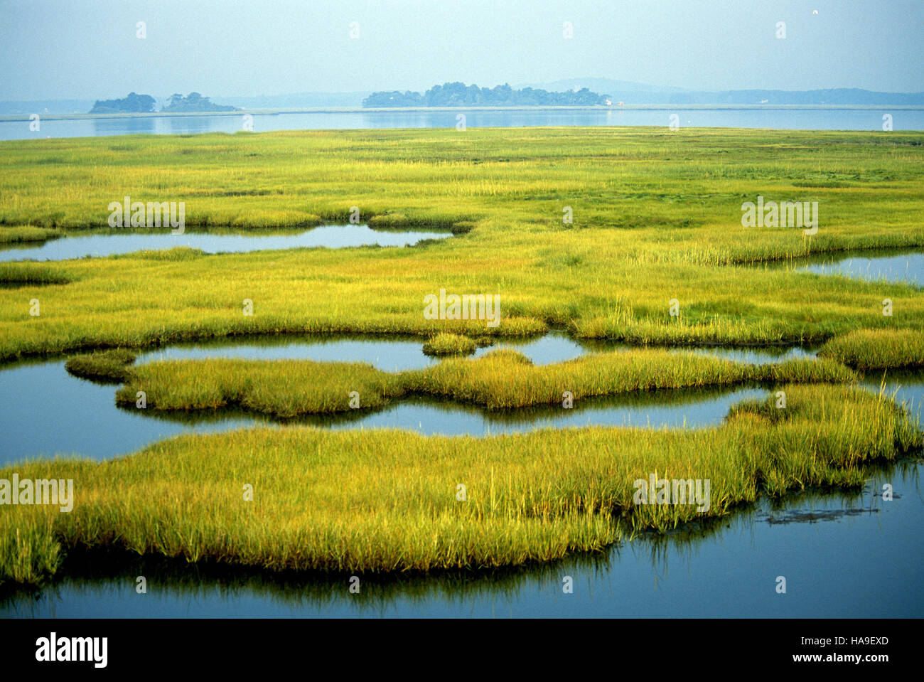 usfwsnortheast 8070749192 Photo of the Week - Coastal Wetlands (MA) Stock Photo