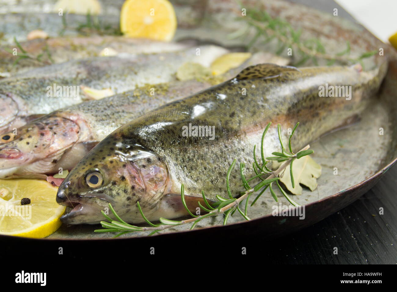 Fish metal hi-res stock photography and images - Page 3 - Alamy