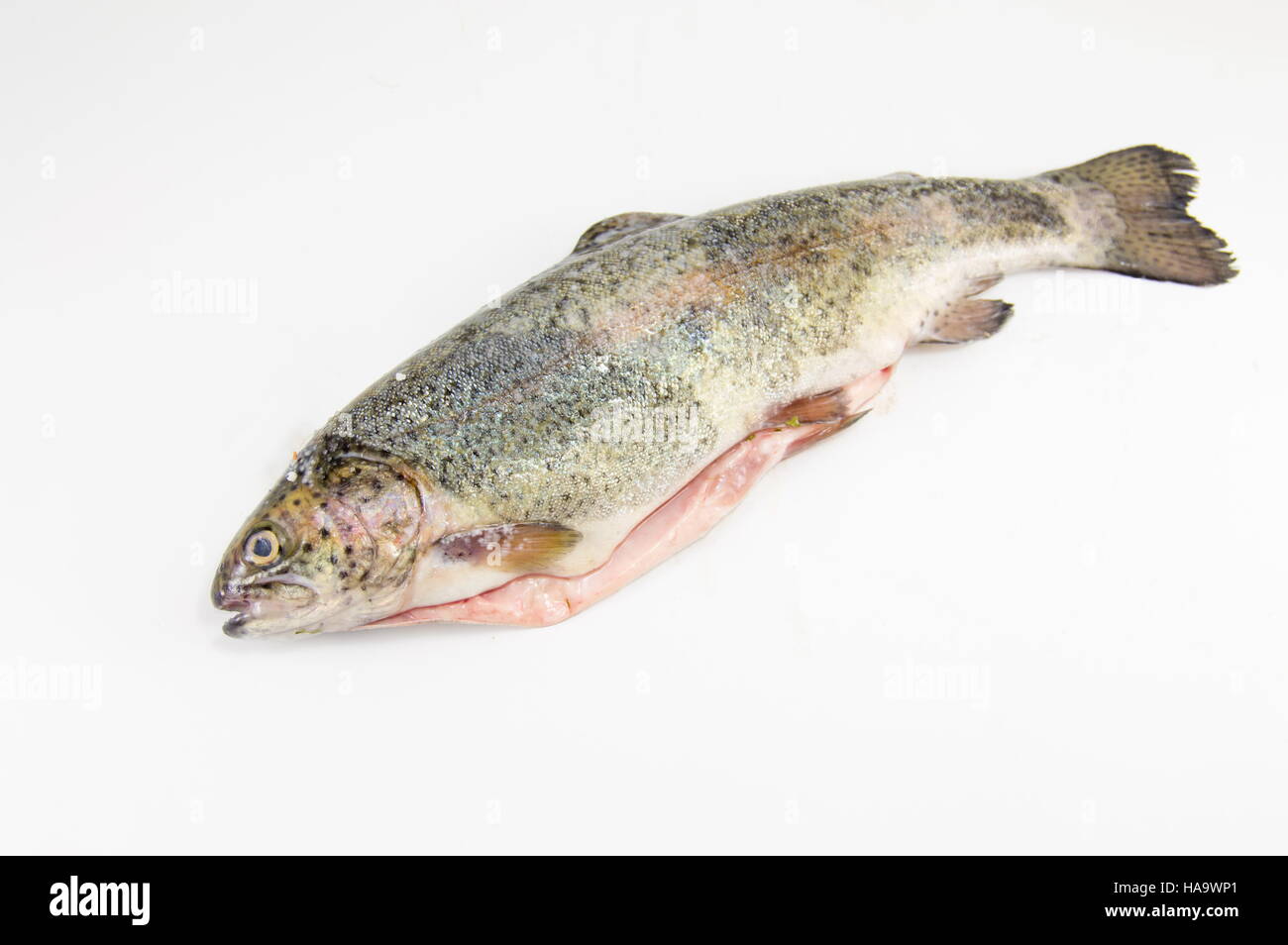 uncooked seasoned trout on white background Stock Photo