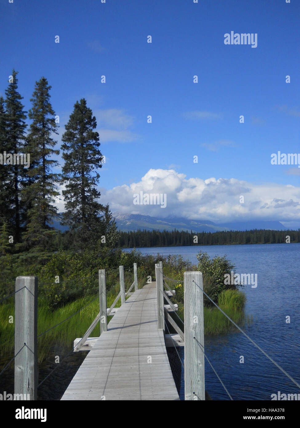 usinterior 9119565894 Byer Lake Trail, Denali State Park, Alaska Stock