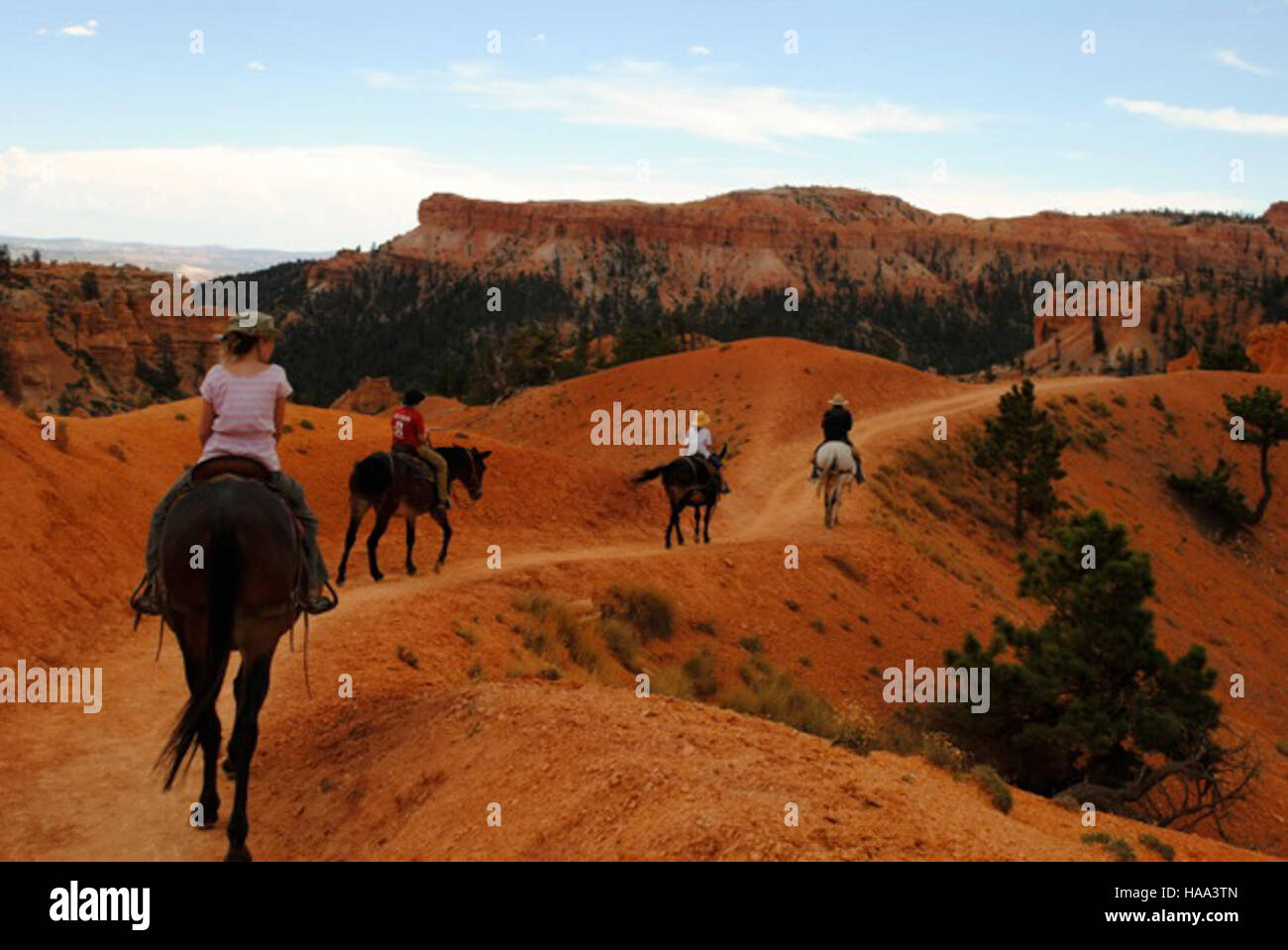 Horse Riding Exploring Horseback riding in national parks offers a unique way to experience ...