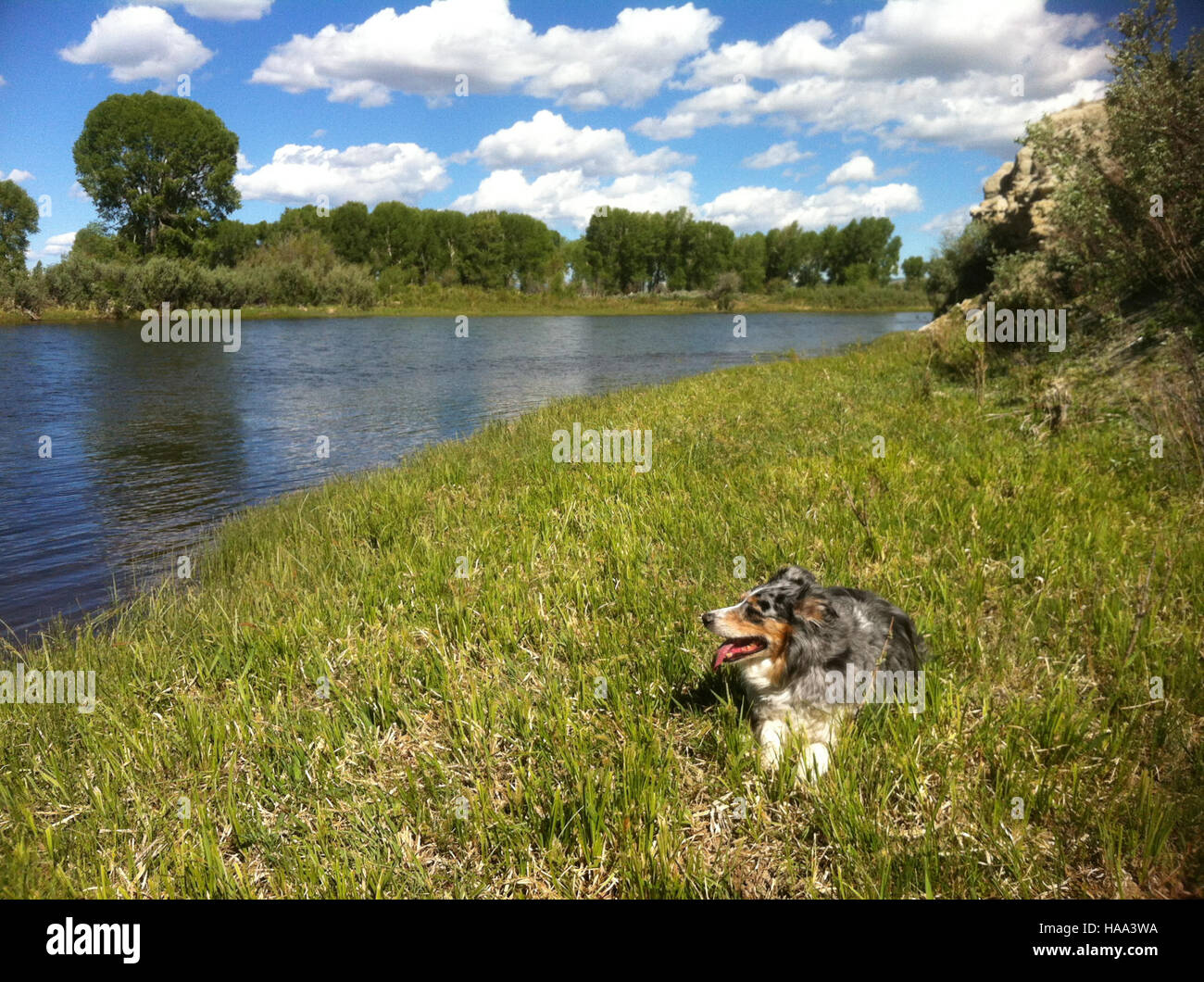 usinterior 9501725353 'Fay' on a nice summer day Stock Photo - Alamy