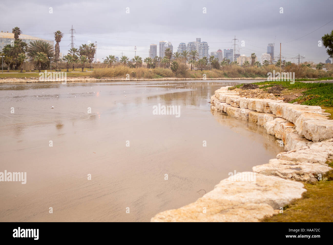 Winter scene with the Yarkon stream, and seagulls, in Tel-Aviv, Israel Stock Photo