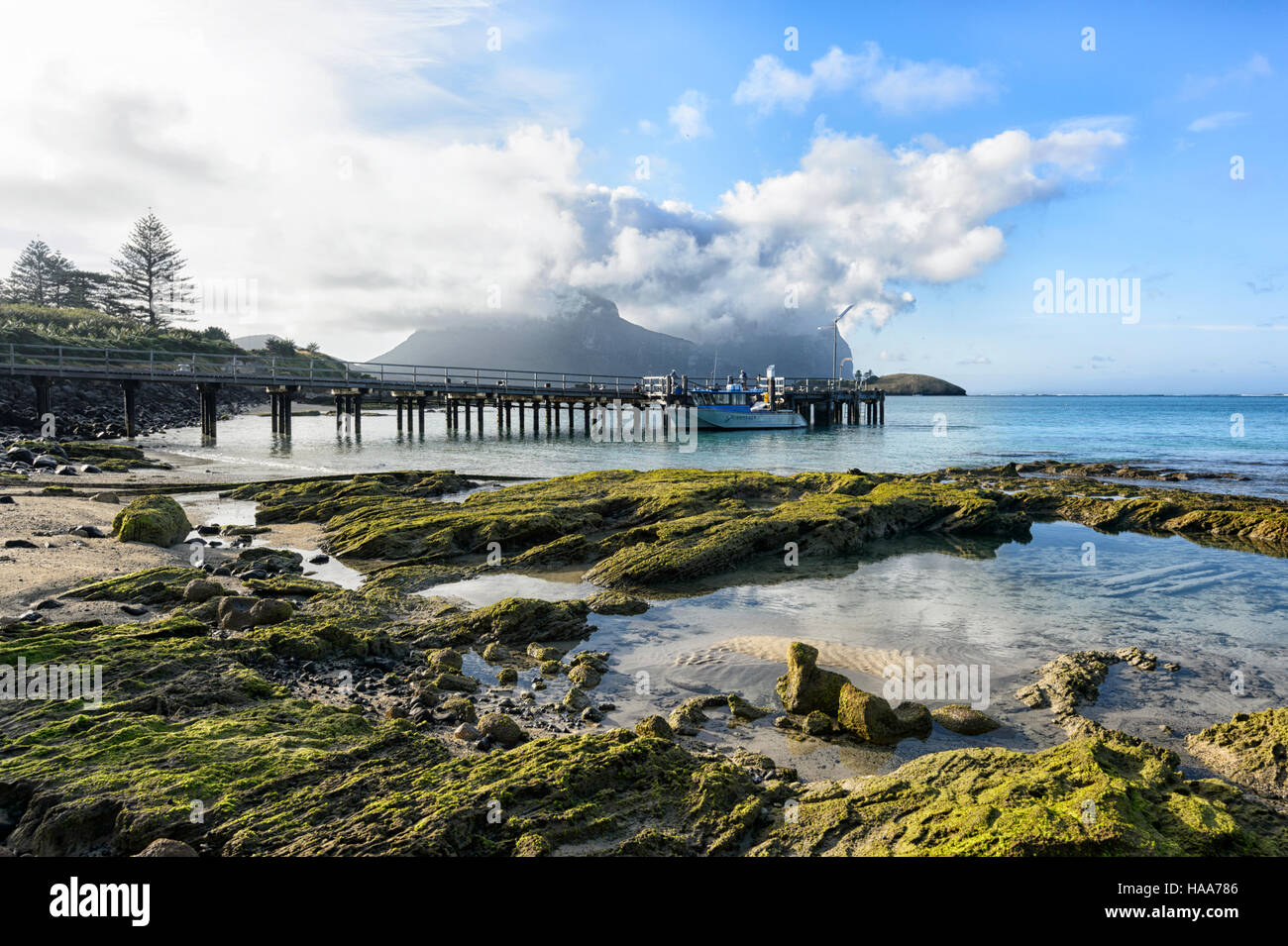 Blue green algae australia hires stock photography and images Alamy