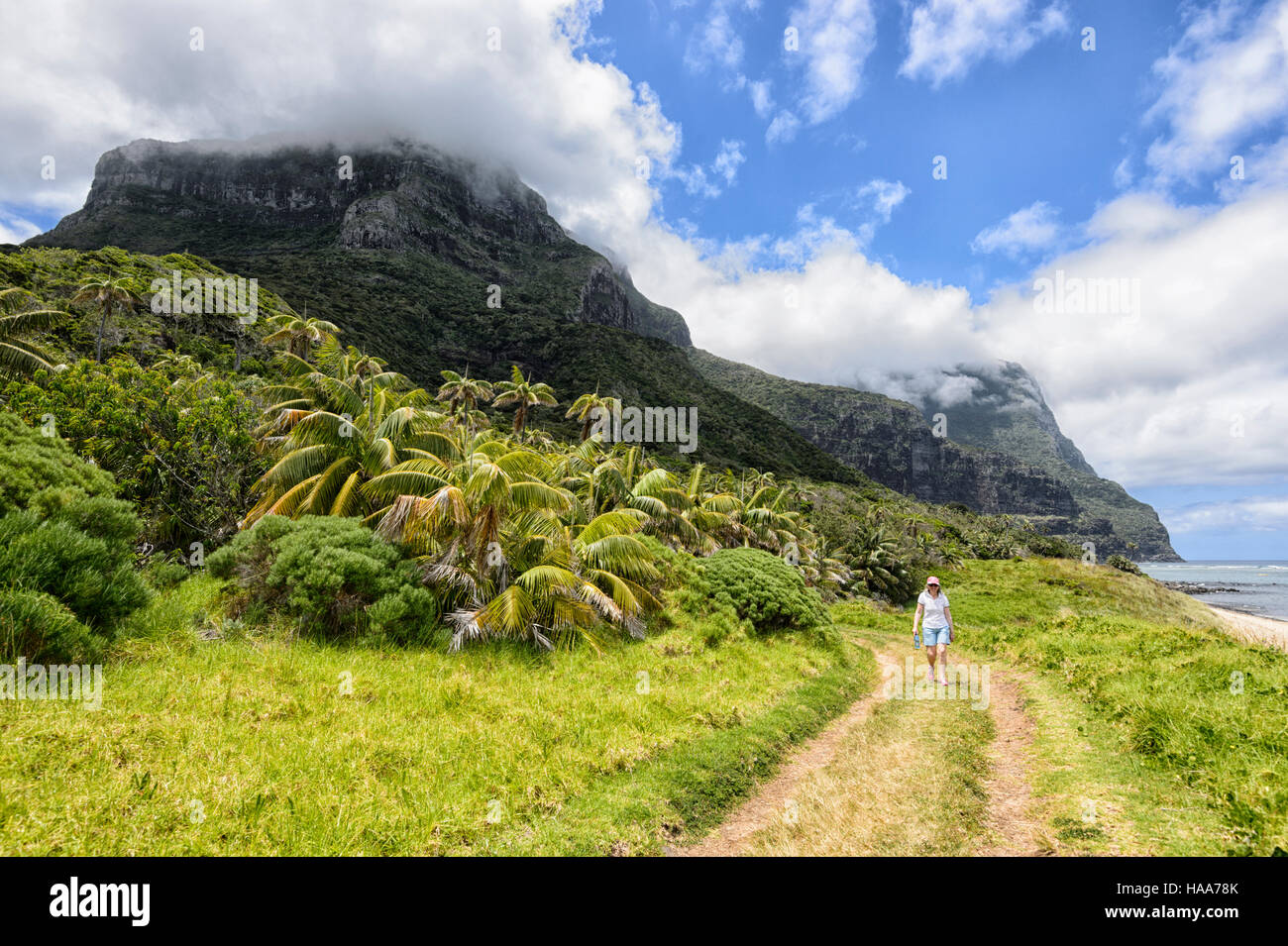 Women walking along the trail leading to Mt Gower, Lord Howe Island, New South Wales, NSW, Australia Stock Photo