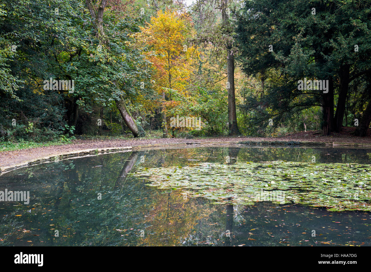 Shipton under Wychwood Wild Garden and Woods in autumn, Oxfordshire