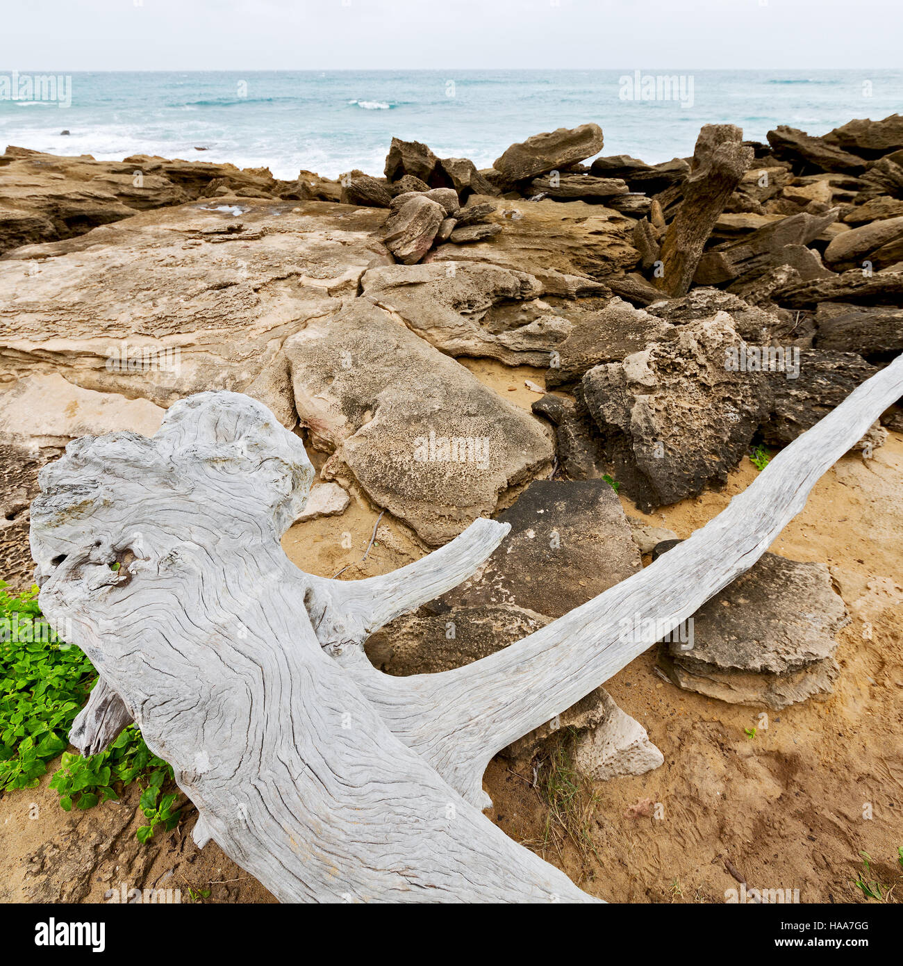 My Image 24