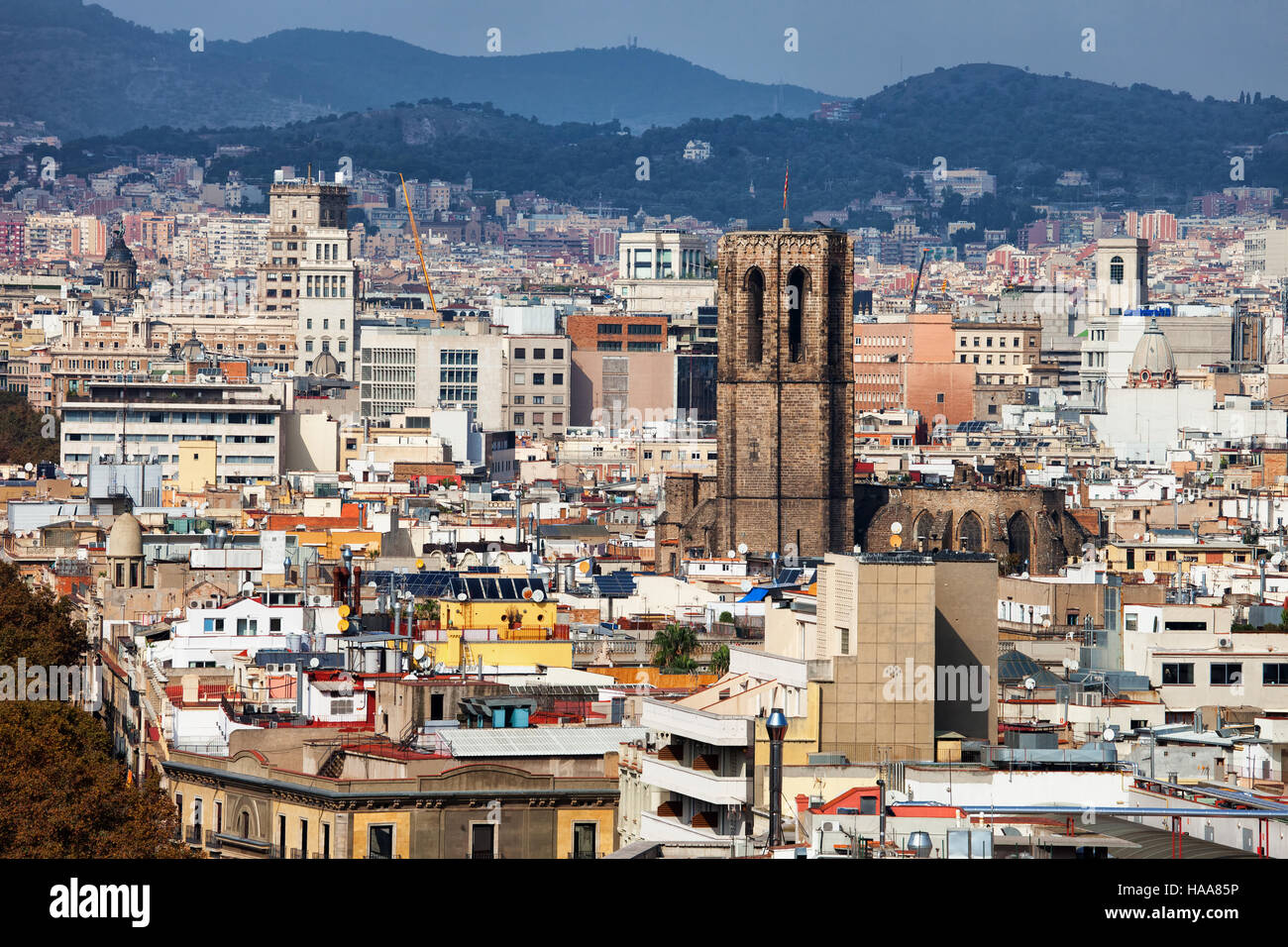 Cityscape of Barcelona with Basilica Santa Maria del Pi, Catalonia, Spain Stock Photo
