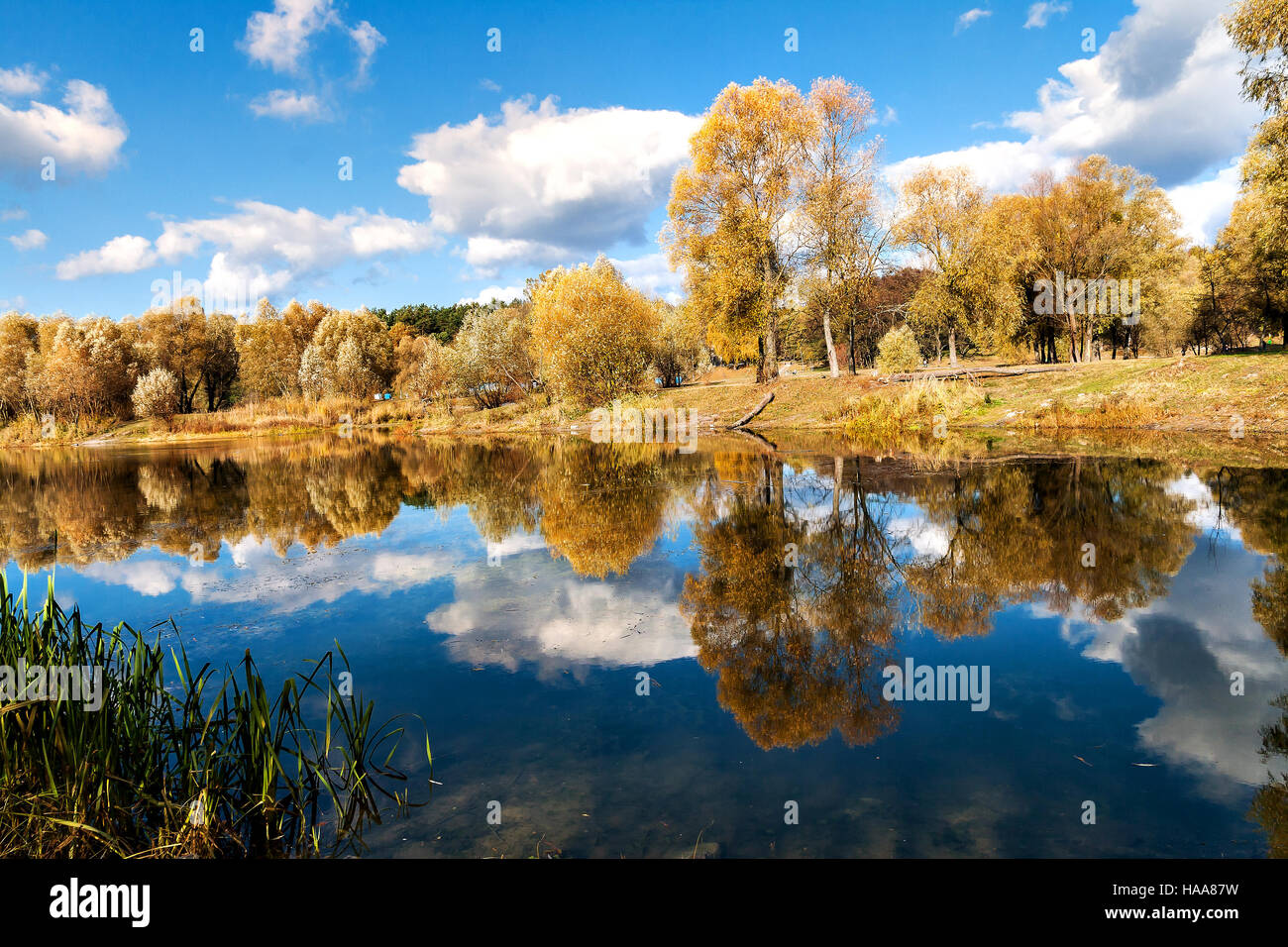 reflected in a forest lake autumn trees Stock Photo - Alamy
