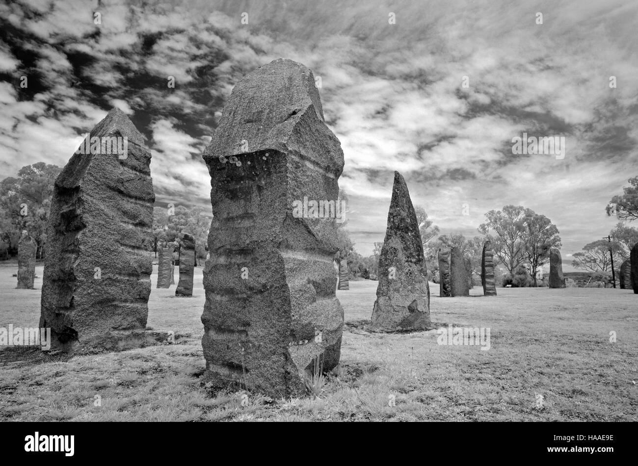 infrared monochrome photograph of the standing stones at glen innes Stock Photo