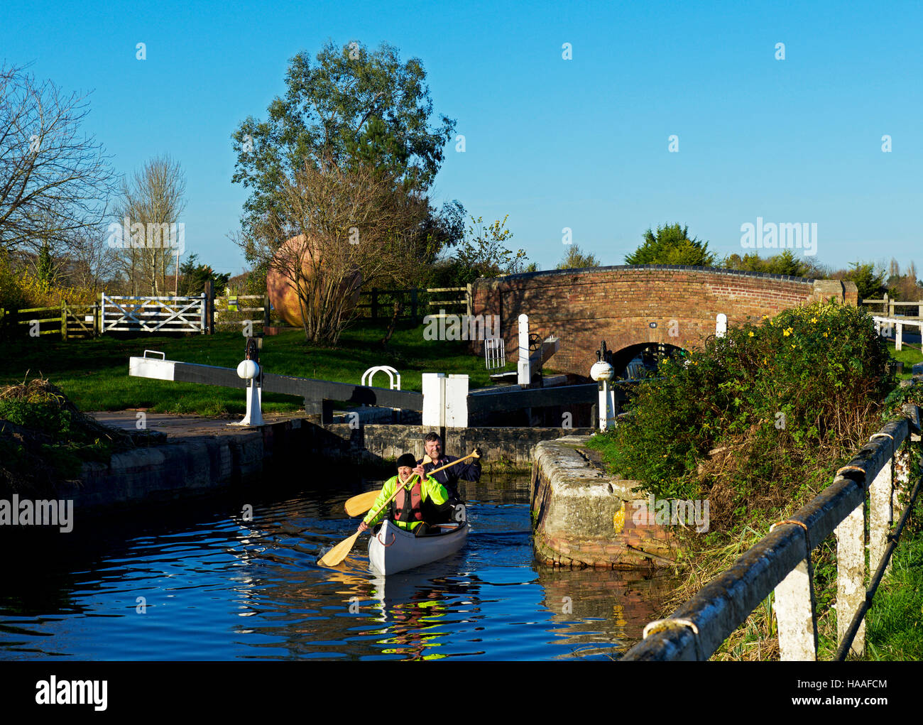 Two men paddling open canoe on the Bridgewater and Taunton Canal, Lower Maunsel, Somerset, England UK Stock Photo