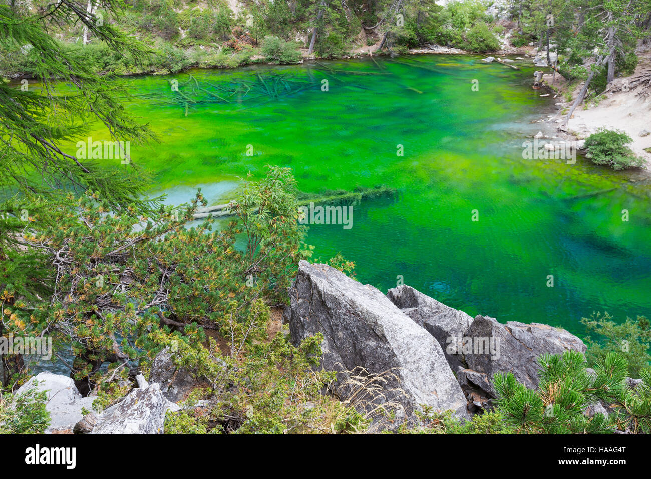 Lac Vert (Lago Verde). Vallée Etroite (Valle Stretta). French Alps. Europe. Stock Photo