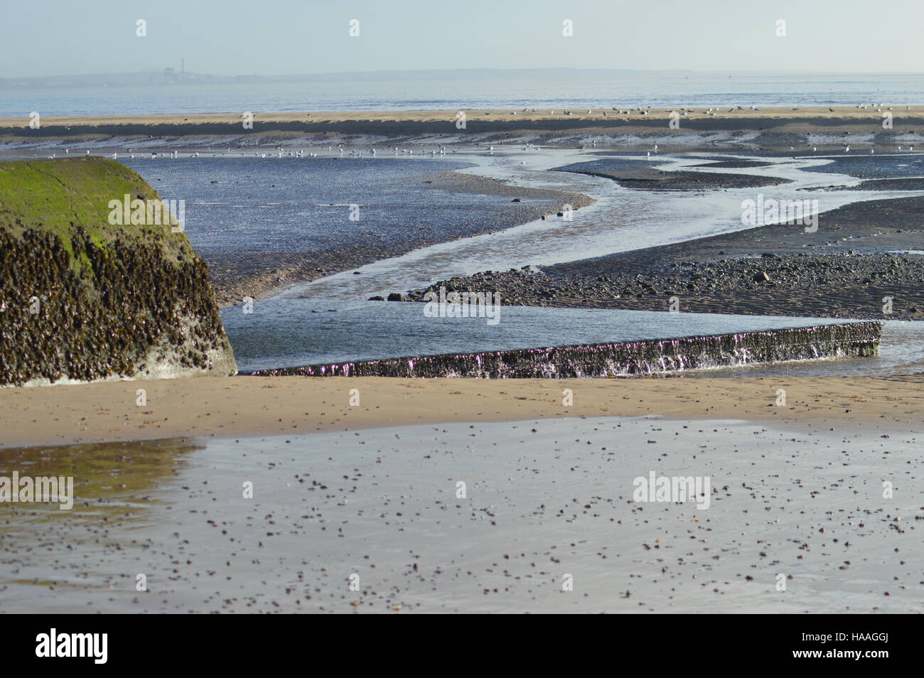 Swansea beach at half tide Stock Photo Alamy