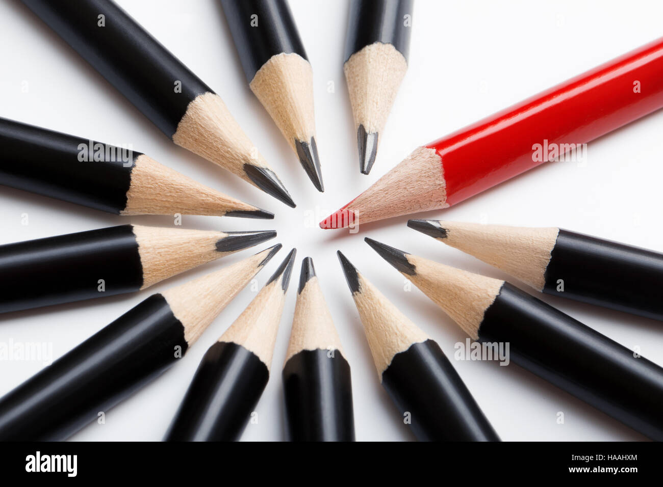 Abstract team of black pencils and red leader. Stock Photo