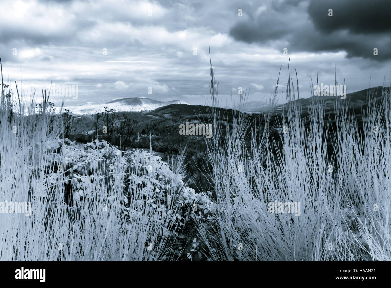 Bea Beautiful natural landscape in infrared view, Vosges mountains