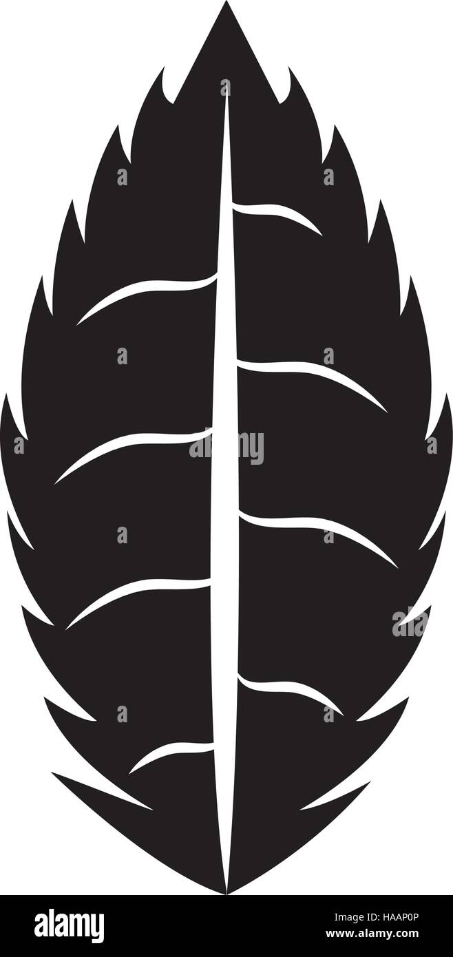 leaf plant isolated icon vector illustration design Stock Vector Image ...