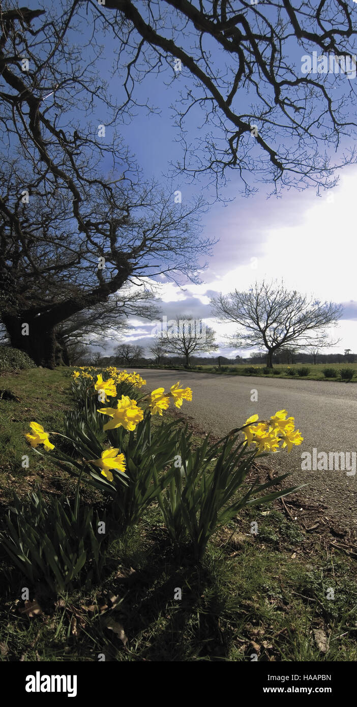 countryside, england, english, landscape, footpath, uk, district, rural ...
