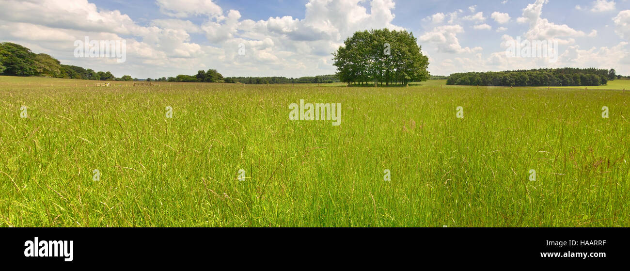 countryside, uk, footpath, field, nature, generic, landscape, public ...