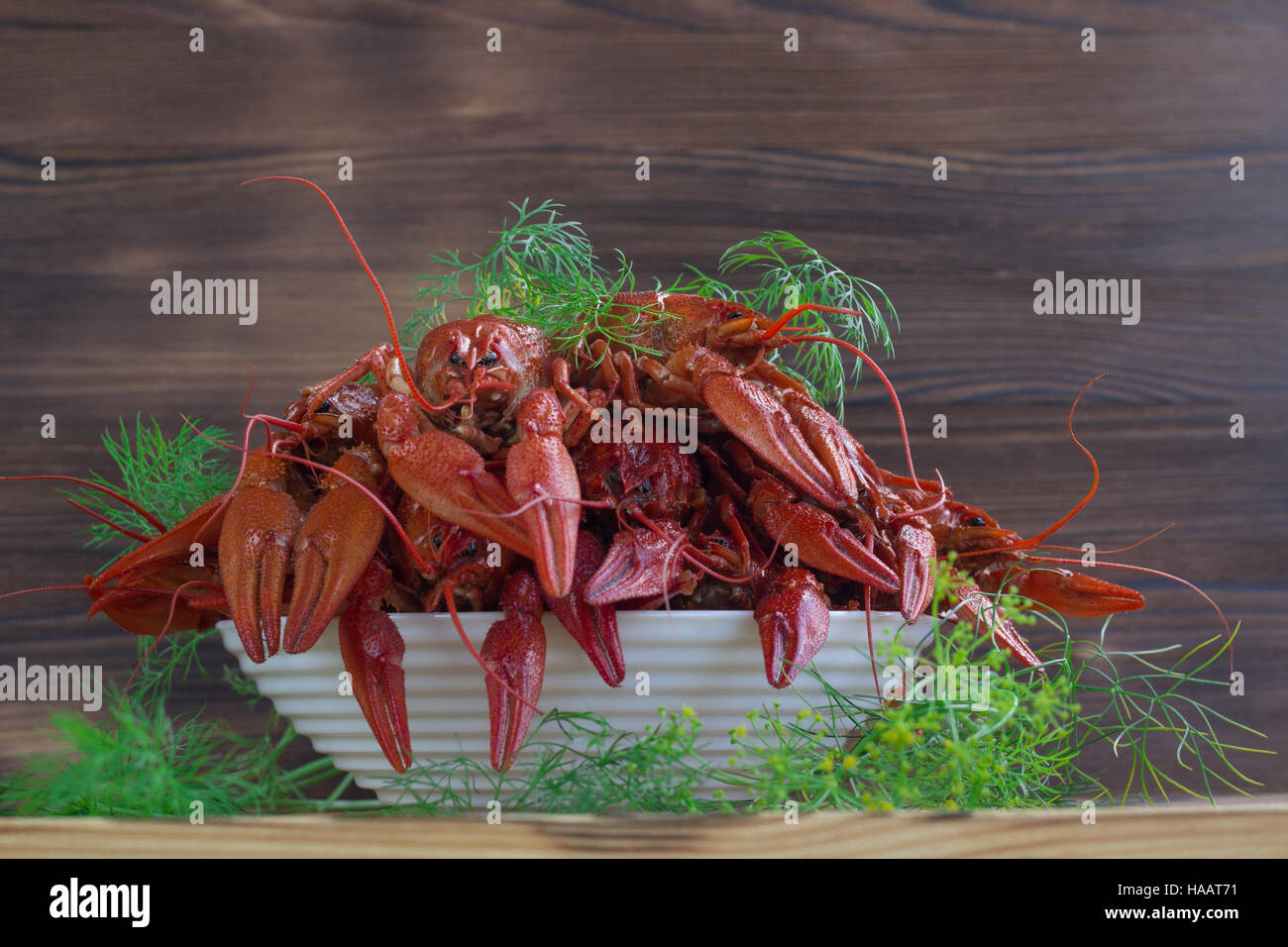 Plate of red boiled crayfishes with claws and fennel on wooden background Stock Photo
