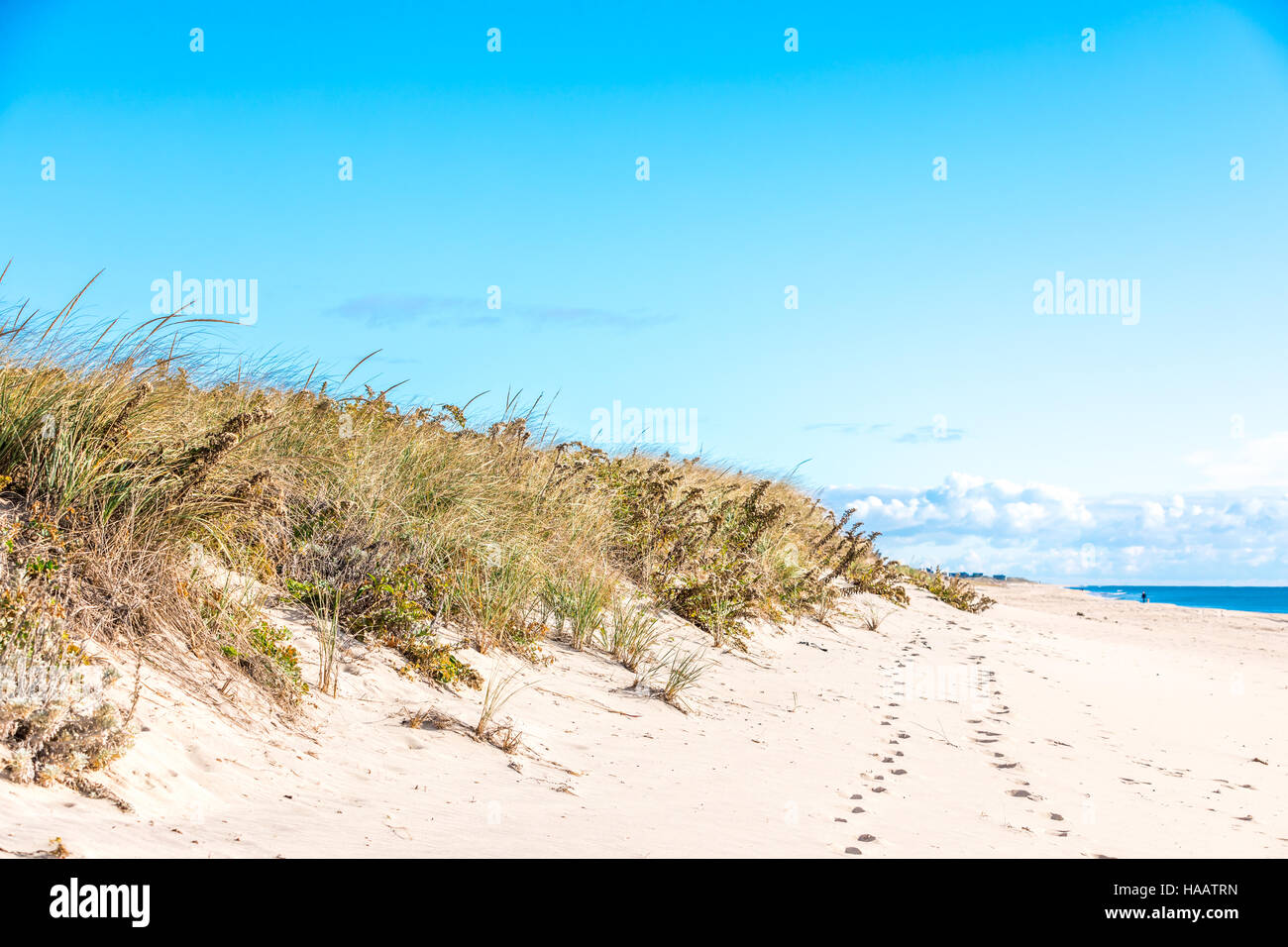 ocean beach with foot prints in the sand, beach grass and distant ocean and clouds Stock Photo