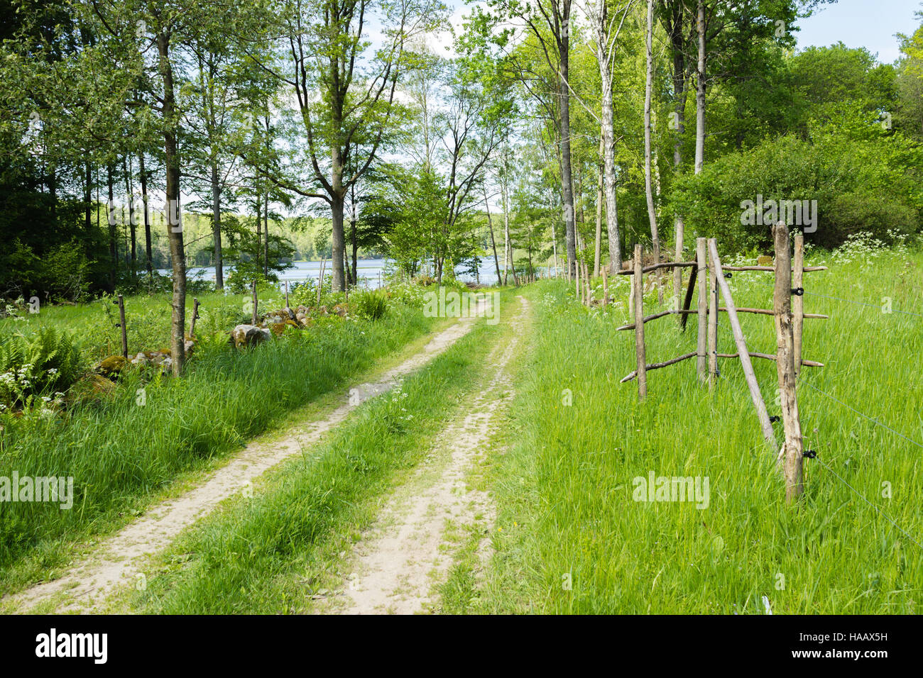 A picturesque dirt road to a lake in a meditative scenery. Stock Photo