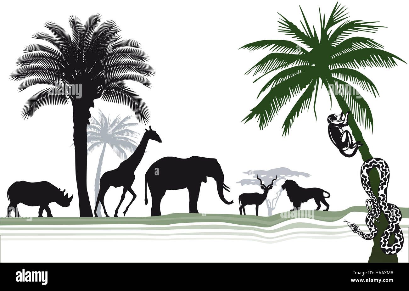 African rainforest wildlife hi-res stock photography and images - Alamy