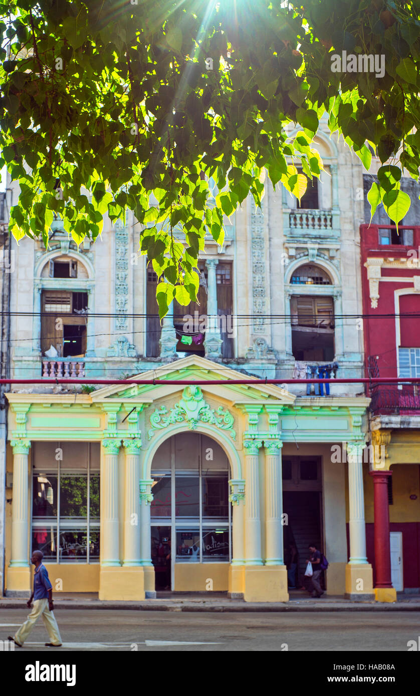 Havana Cuba West Indies sunlight through trees man walks past colorful shop front Stock Photo