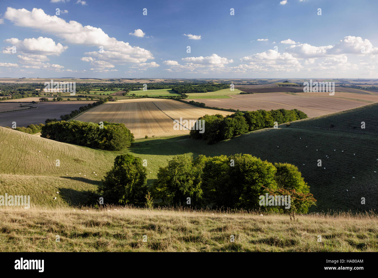Looking south across Pewsey Downs from Knapp Hill in Wiltshire Stock Photo