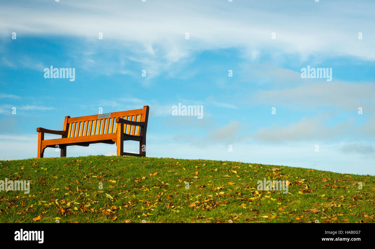 Lone bench on hill in park against blue sky Stock Photo - Alamy