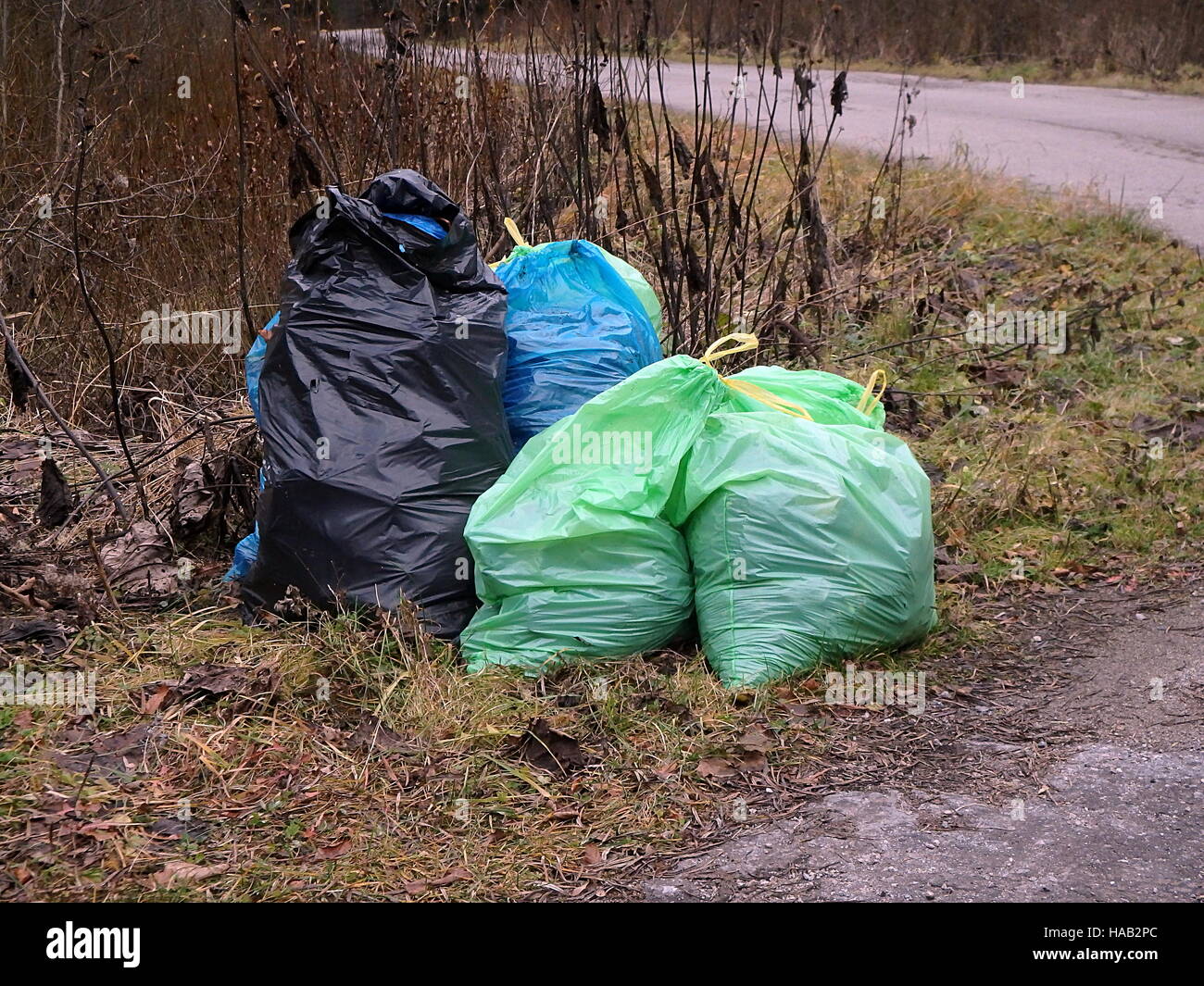 separated waste in the forest, bags of garbage in the woods Stock Photo Alamy