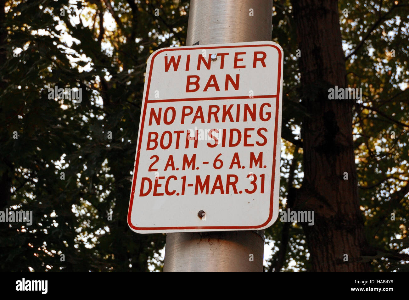 Parking ban in winter road sign on roadside in front of trees Stock