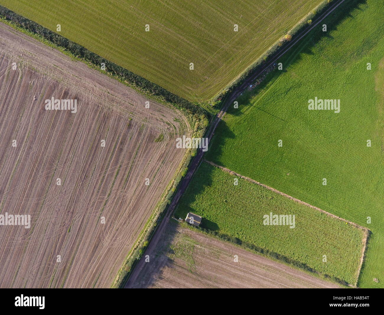 Ariel image of Arable farmland Cheshire Stock Photo