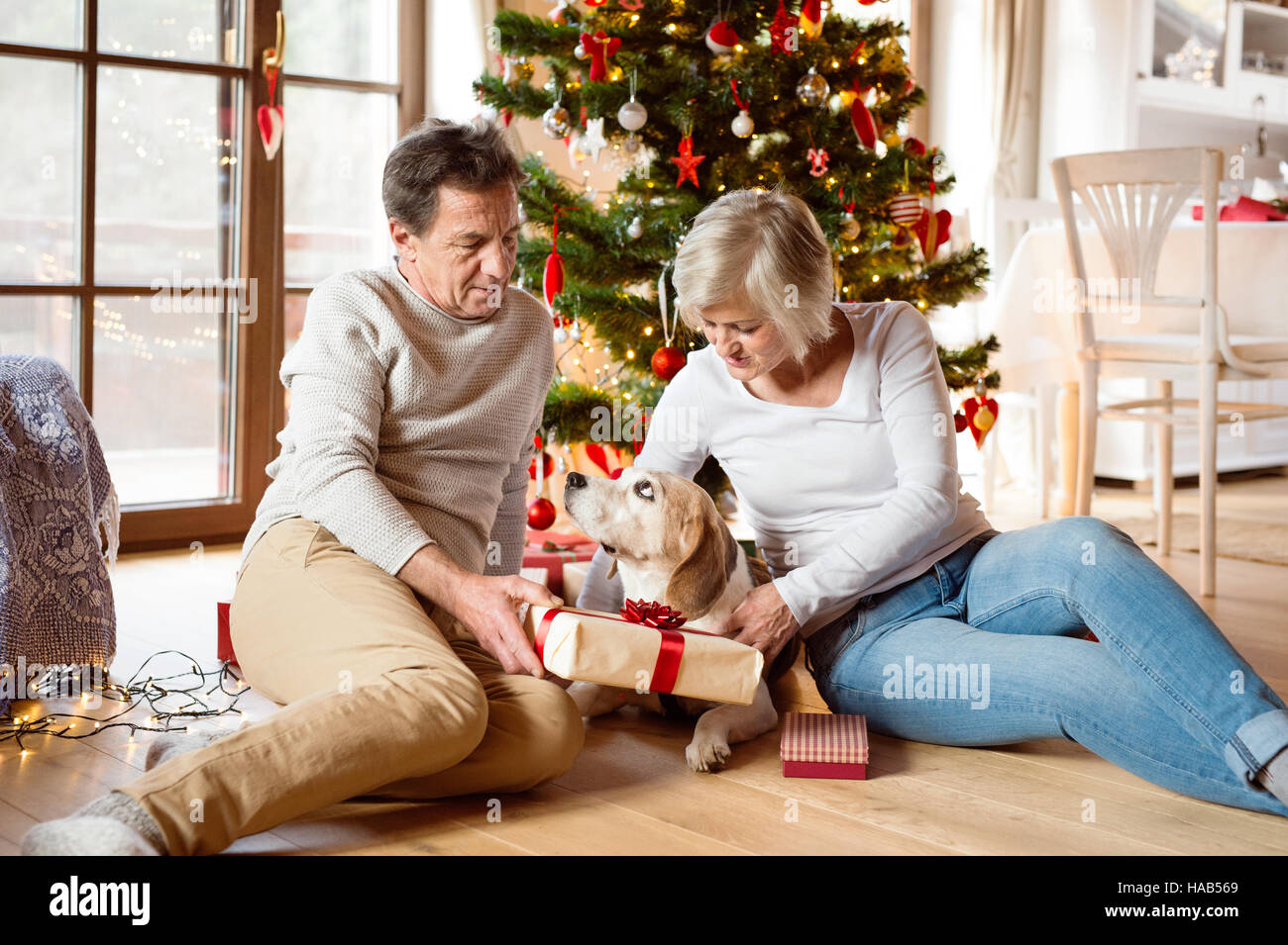 Senior couple in front of Christmas tree with presents. Stock Photo