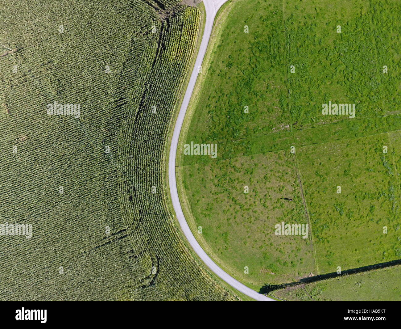 Ariel photograph of arable farmland in cheshire Stock Photo