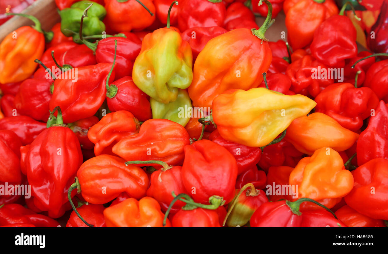 spicy red habanero peppers to food preparation hot spicy Stock Photo