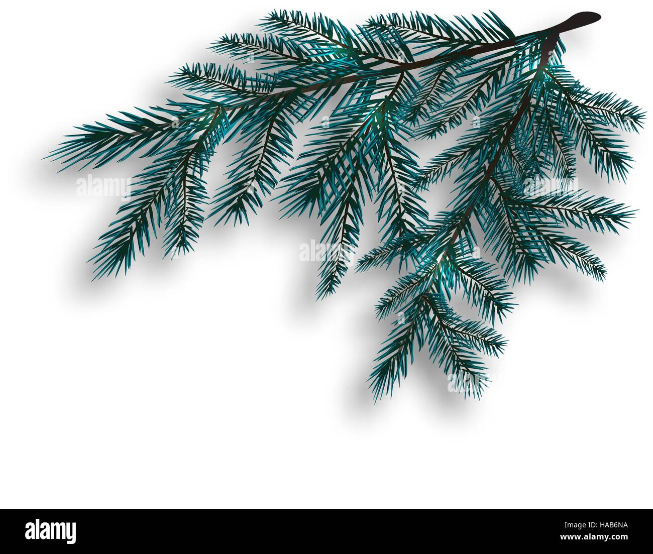 Лесландия ель голубая неон. Голубая ель ветка. Синие ветки ели. Синие ветки ели. Синие ветки ели.