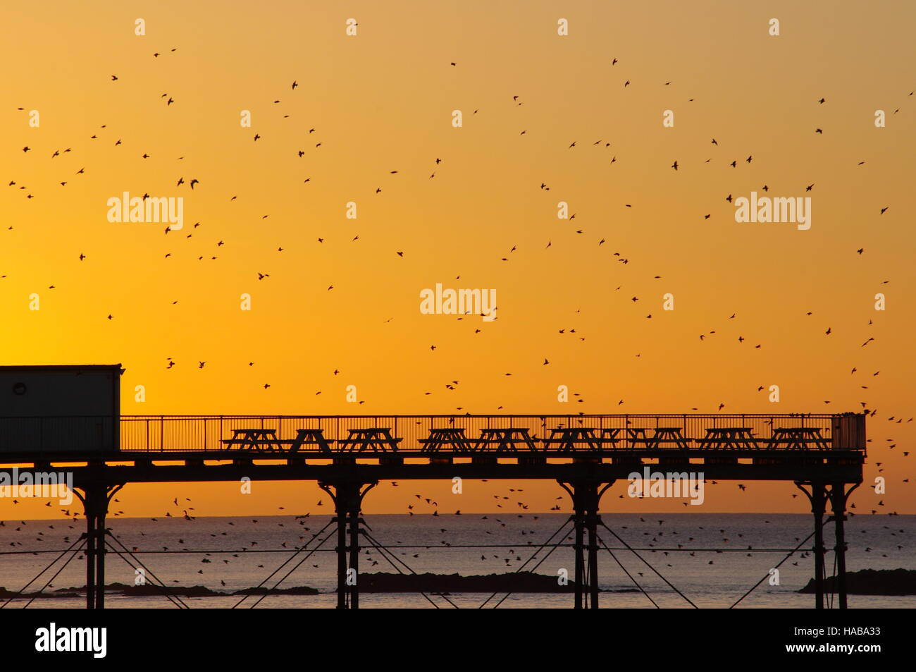 Aberystwyth, Wales, UK. 28th November, 2016. Brilliant clear sunny