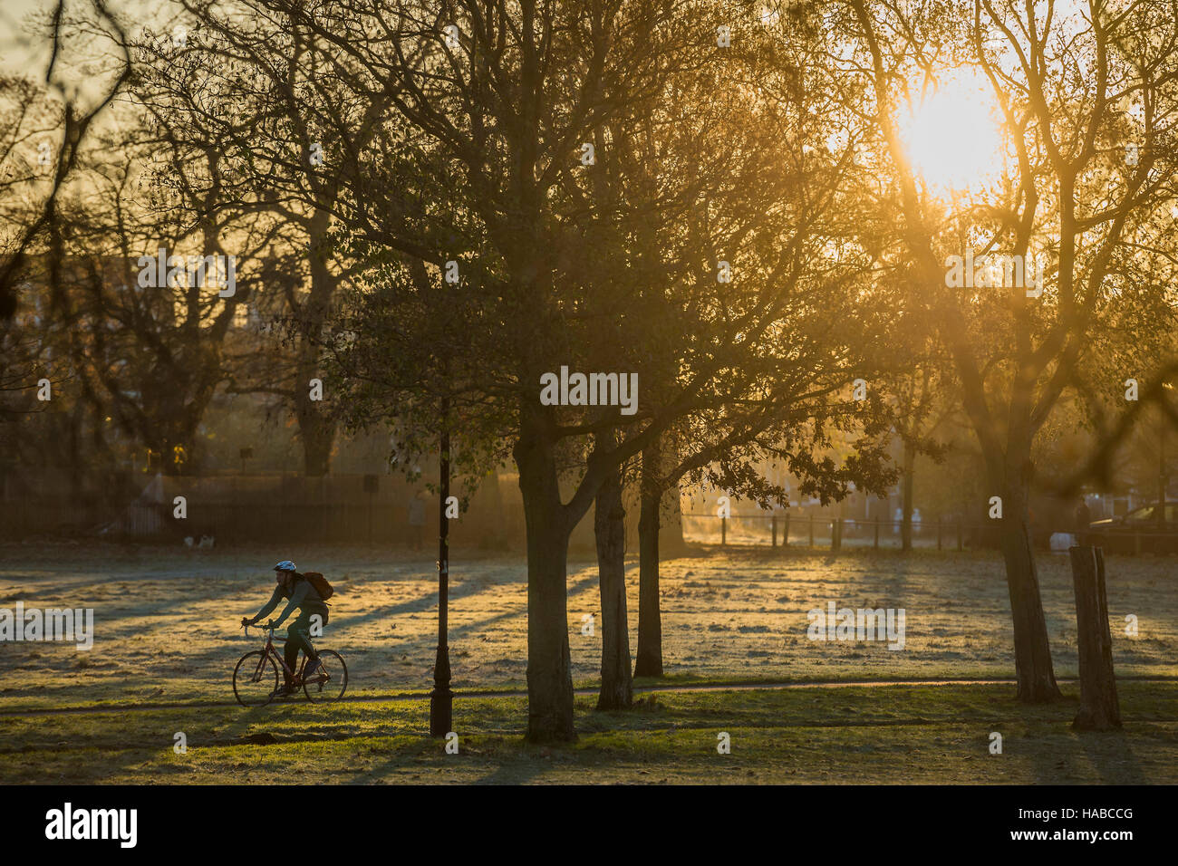 Clapham Common, London, UK. 29th November, 2016. Families on their way to school and commuters on bikes cross the common. It is a cold and frosty morning on Clapham Common. London 29 Nov 2016. Credit:  Guy Bell/Alamy Live News Stock Photo