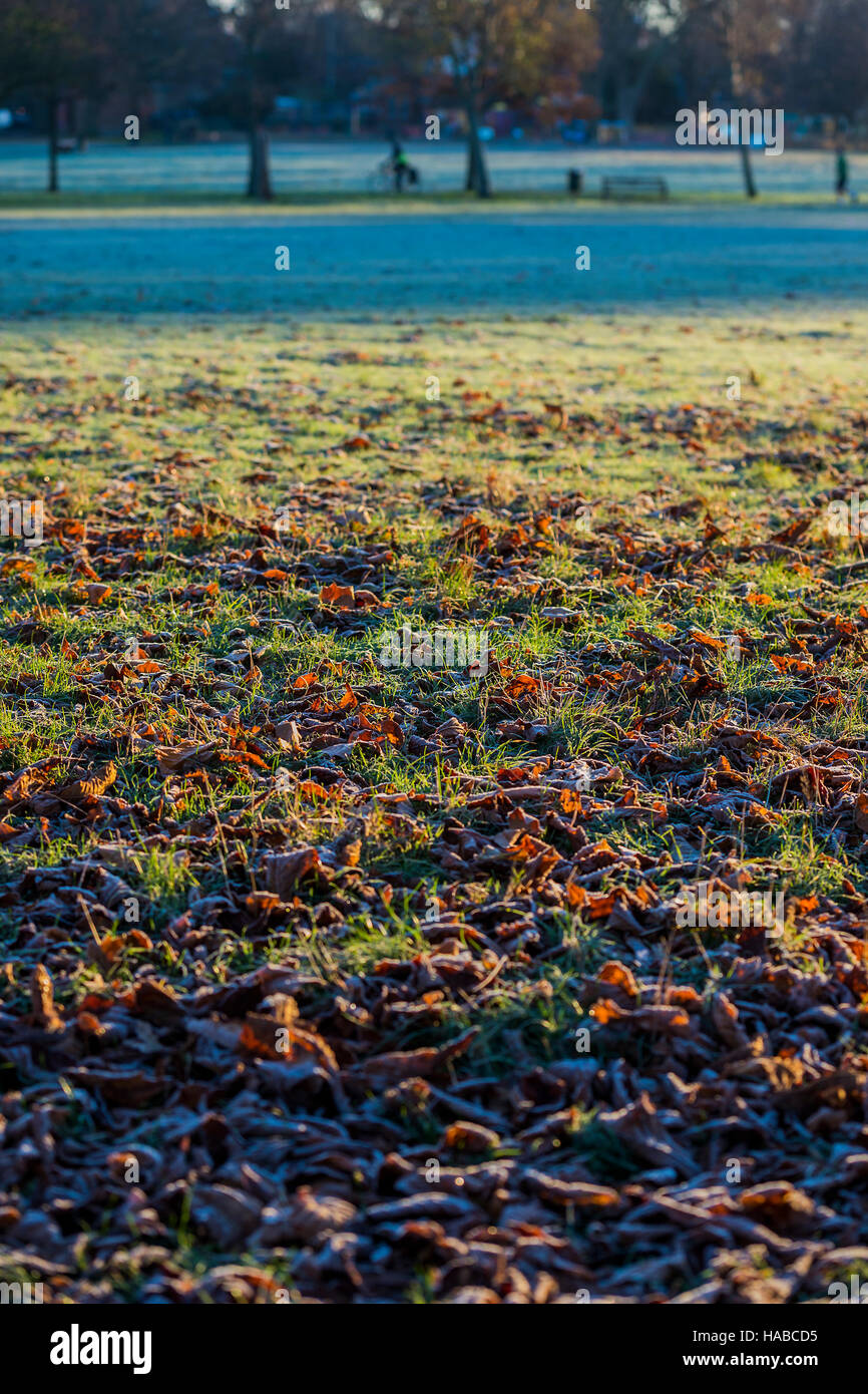 Clapham Common, London, UK. 29th November, 2016. It is a cold and frosty morning on Clapham Common. London 29 Nov 2016. Credit:  Guy Bell/Alamy Live News Stock Photo